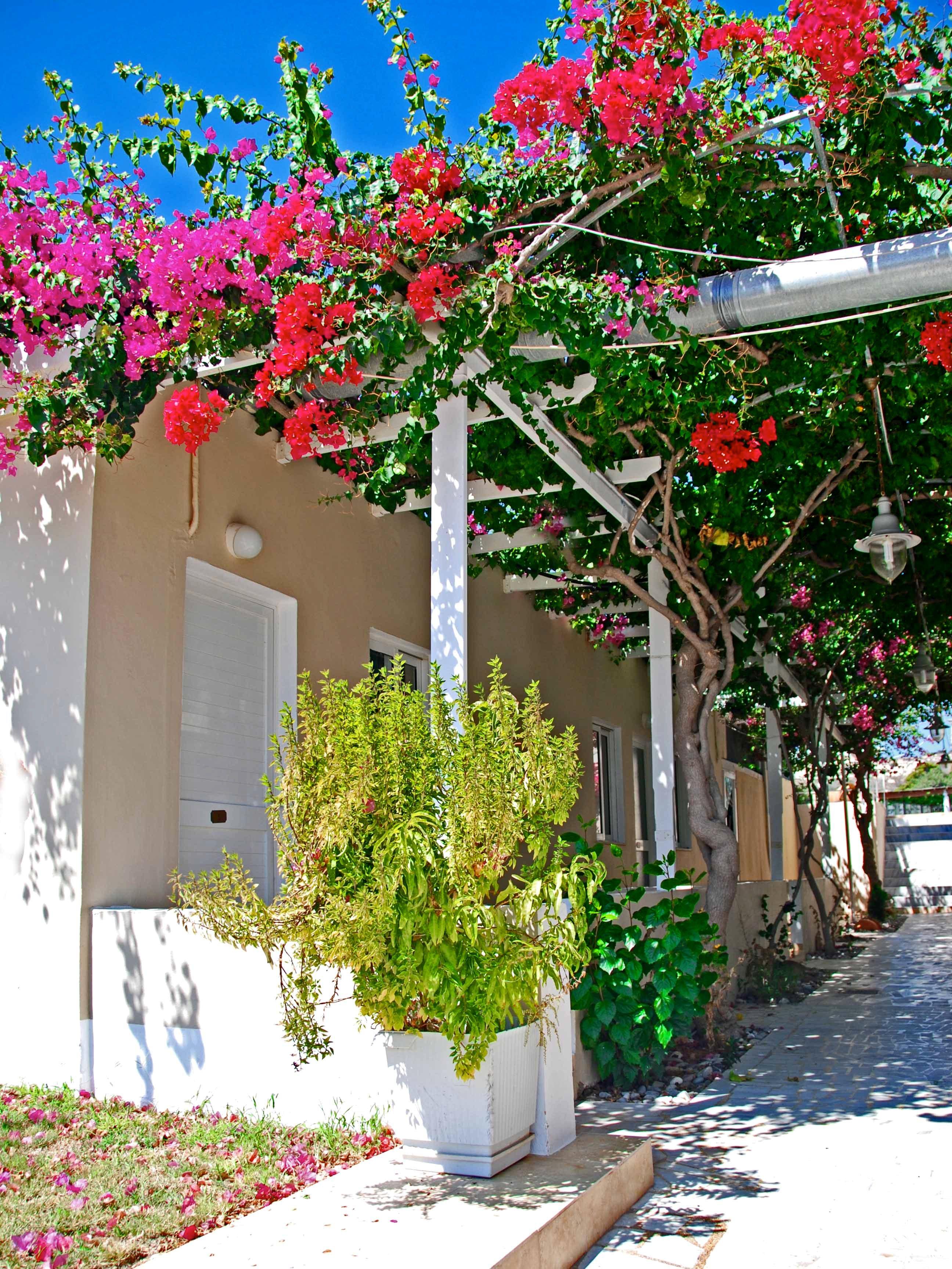Sacallis Inn Beach Hotel Kefalos Exterior photo